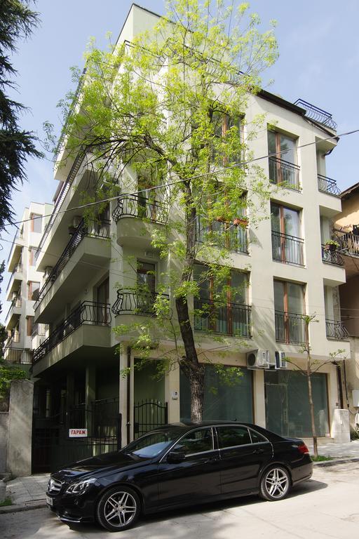 The Cozy * Varna
